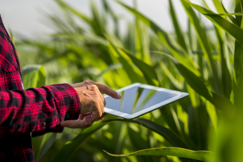 A person using tab in the farm